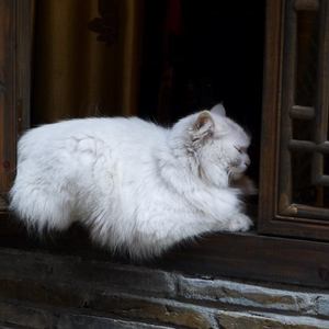 高圆圆被揉到高潮下不了床
